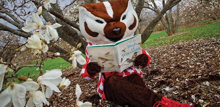 Photos by C&N Photography