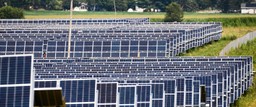 Hundreds of solar panels pictured in the O'Brien Solar Fields.