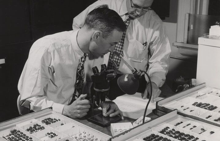 Photo from UW-Archives of entymoligists at work.
