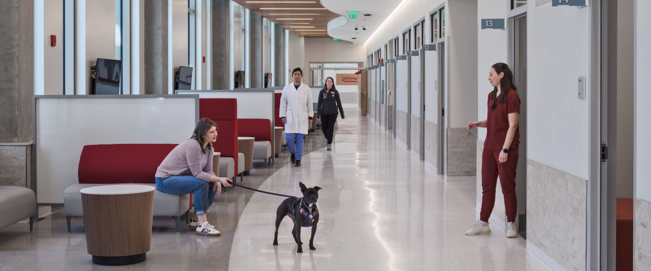 Vet patient interacts with their veterinary doctor