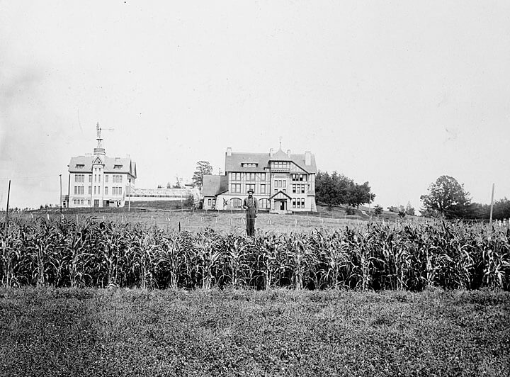 Human Scarecrow UW Archives S00228