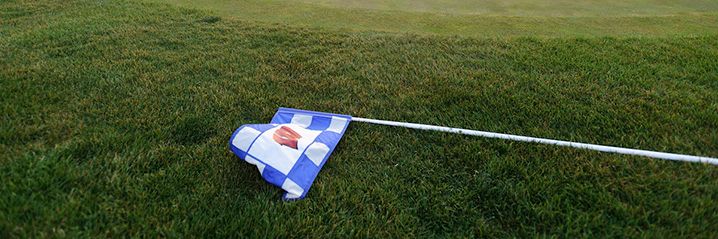 Golf flag on the grass