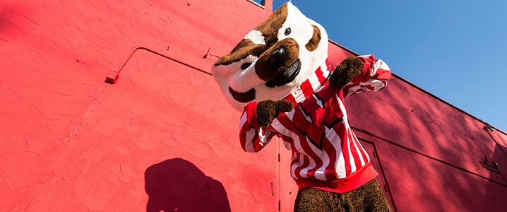 Bucky Badger