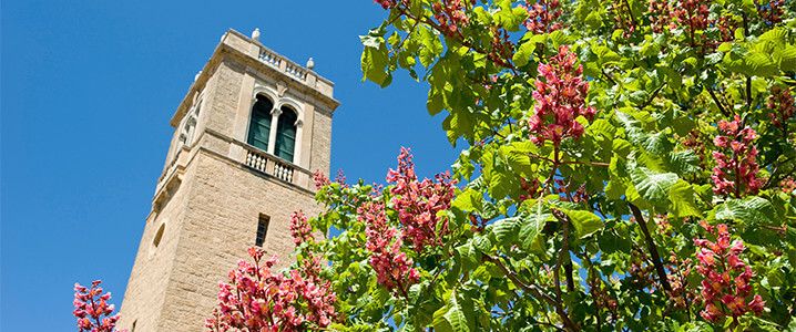 Carillon Tower in spring.