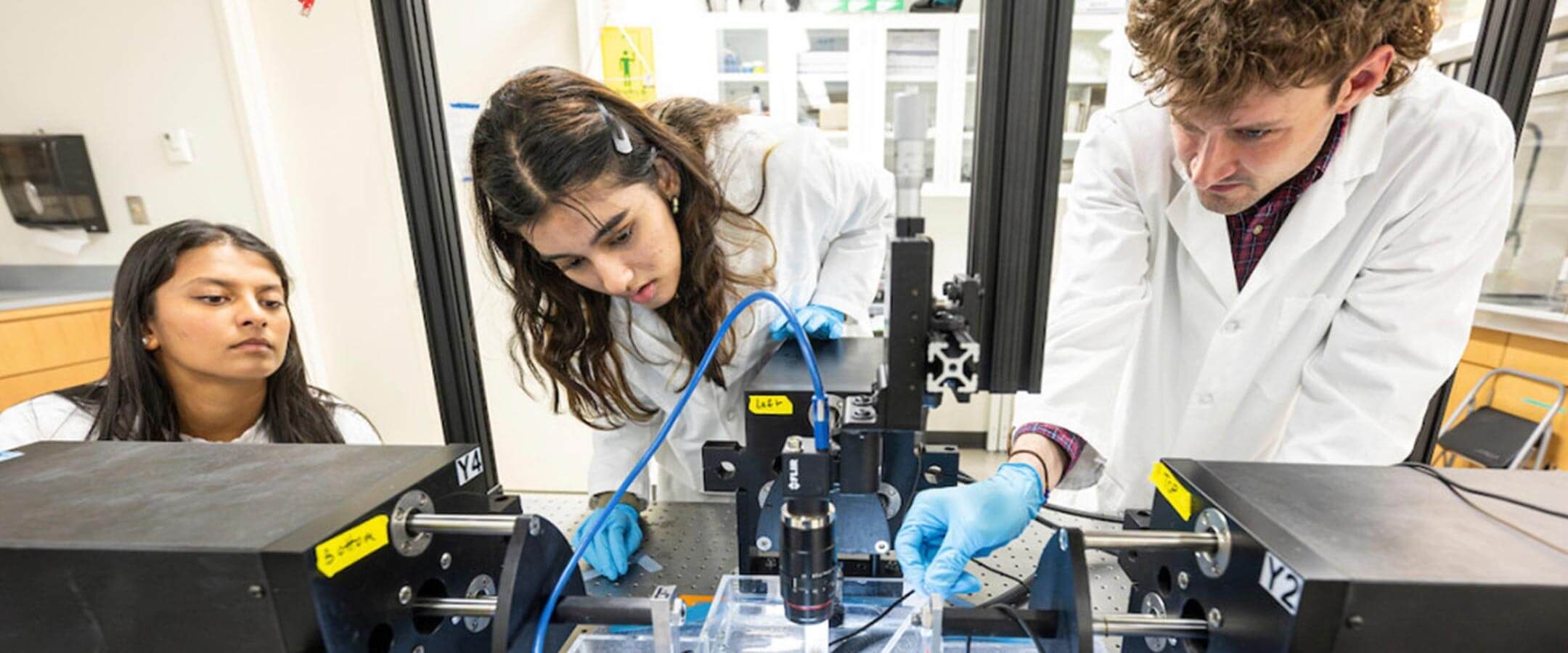 Students working in a lab