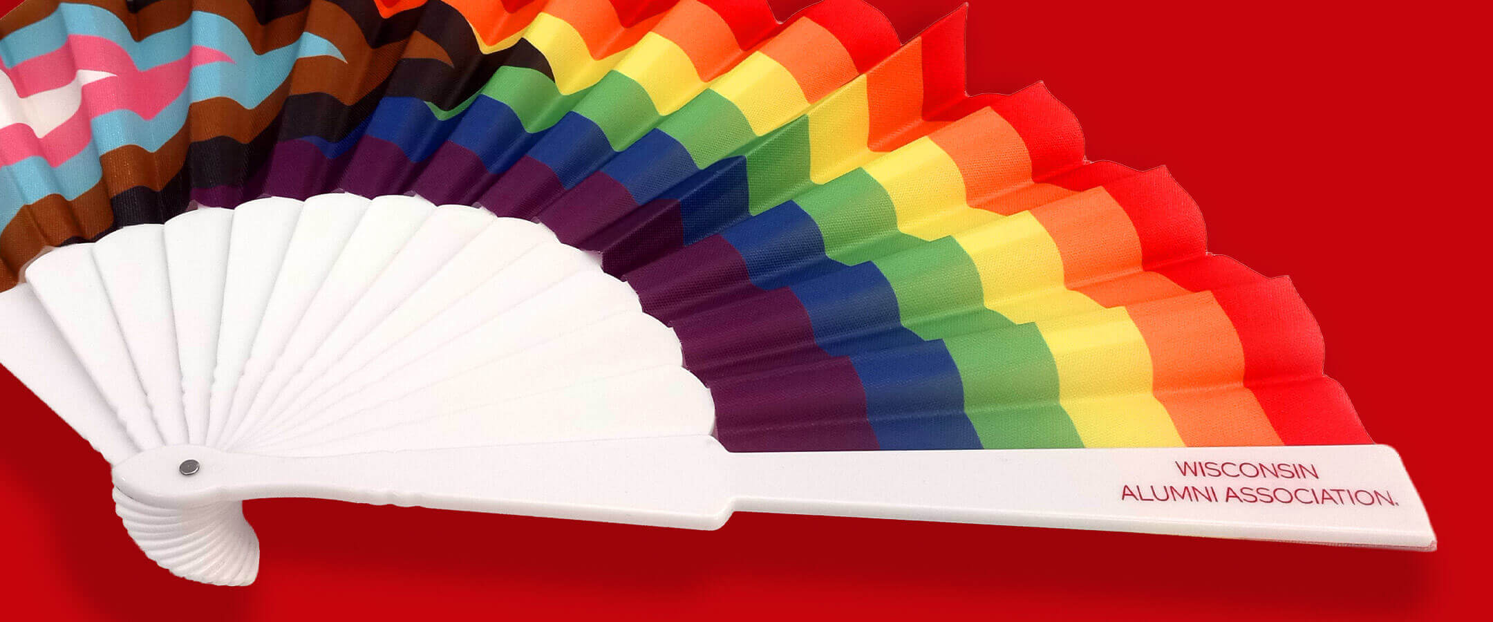 Progress Pride Flag fans